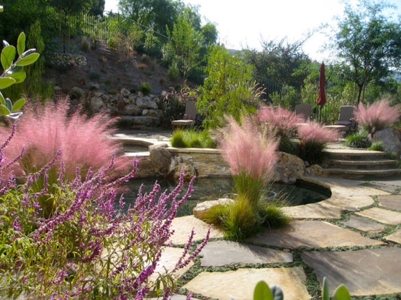 ¿Cómo utilizar adoquines para que su jardín sea exuberante, naturalista y respetuoso con el agua?
        